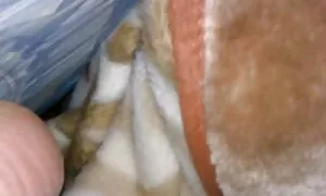 二つの豪華なレズビアンと大きな胸各その他舐めてるpussiesにベッド 女性 専用 無料 エロ