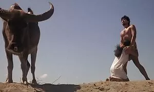 欲望に満ちた美しさからのセックスシーンの選択 女 セックス 動画