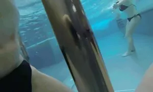 スーパー女の子ブレンダ